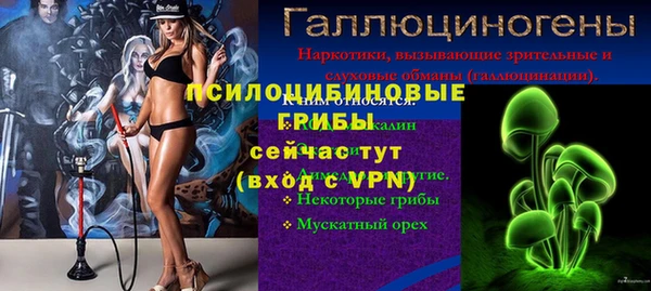 МДПВ Абинск