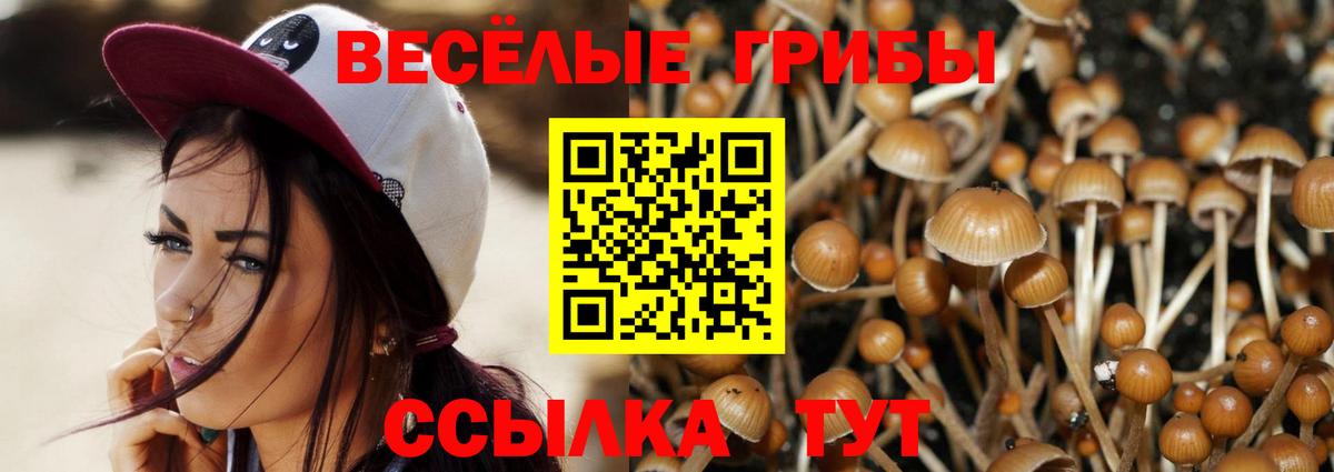 Дербент  Псилоцибиновые грибы ЛСД  Вход с VPN 